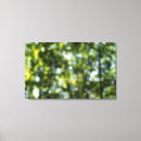 Search for lens art Bokeh