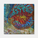 Search for fish magnets Tropical