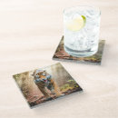 Search for roar coasters Tiger
