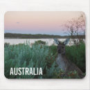 Search for australia wildlife electronics Sunset
