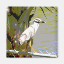 Search for herons magnets Wildlife
