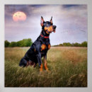 Search for doberman posters Dogs
