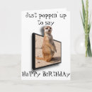 Search for meerkat birthday cards Meercat