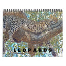 Search for leopard calendars Cats