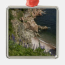 Search for remote christmas tree decorations Scenic