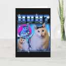 Search for cat meme cards Best