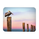 Search for posts magnets Ocean