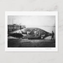 Search for cut postcards Blue