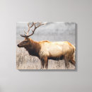 Search for deer stag canvas prints Animals
