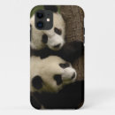 Search for baby panda iphone cases Bear