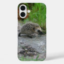Search for porcupine iphone cases Nature
