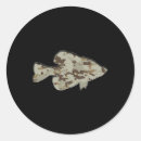 Search for crappie stickers Fisherman
