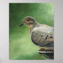 Search for bird art Dove