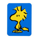 Search for cartoon rectangular magnets Sunday paper