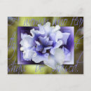 Search for praise postcards Jesus