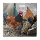 Search for chicken tiles Rooster