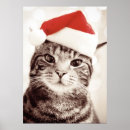 Search for animals wearing clothes posters One animal