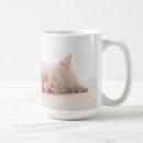 Search for british shorthair mugs Baby animals