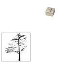 Search for pine tree rubber stamps Botanical