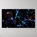 Search for nerve posters Science