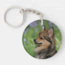Search for spitz key rings Canine photographer
