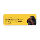 Search for movie return address labels Fantastic beasts