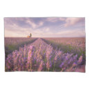 Search for scenic pillowcases Sky