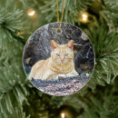 Search for ginger christmas tree decorations Orange cat