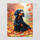 Search for setter postcards Hunting dog