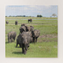 Search for elephant puzzles Wildlife