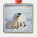 Search for coastal christmas tree decorations Wildlife