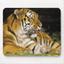 Search for eyes closed mousepads Close up