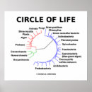 Search for circle of life posters Biology