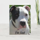 Search for pitbull birthday cards Puppy