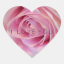 Search for flower roses stickers Photography