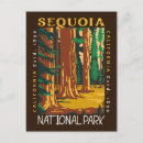 Search for sequoia national park postcards Redwood tree