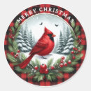 Search for pine branch stickers Holly berries