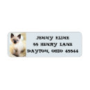 Search for cute kitten return address labels Cat