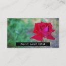 Search for red rose business cards Flowers