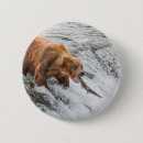 Search for ursus badges Alaska