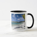 Search for tourist mugs Palm tree