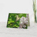 Search for everyday events cards Wrap it up