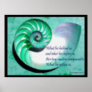 Search for nautilus shells posters Nautical