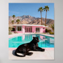 Search for palm springs posters Pink