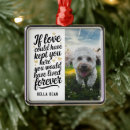 Search for quotes pet memorials Sympathy