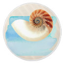 Search for seashell knobs and pulls Nature