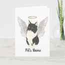 Search for cat sympathy cards White