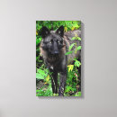 Search for wolf canvas prints Animals