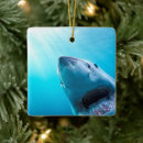 Search for shark christmas decor Underwater