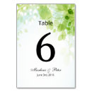 Search for watercolor table cards Green